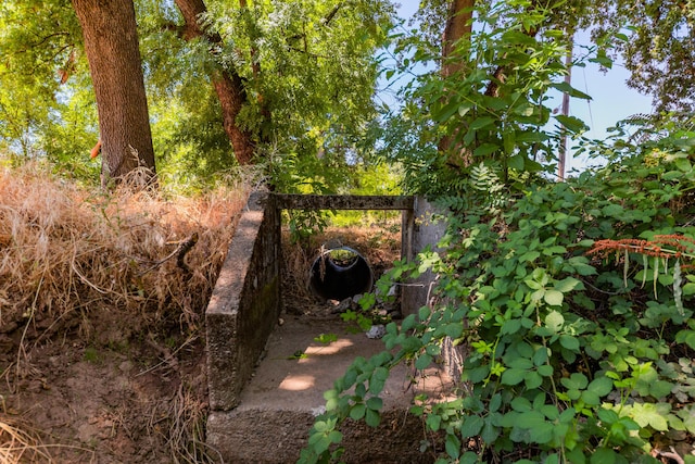 Stingy Ln, Anderson, CA 96007