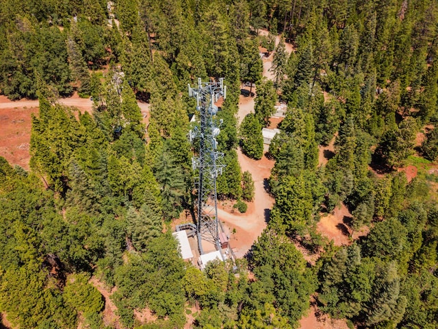 6961 Woodpecker Ln, Shingletown, CA 96088