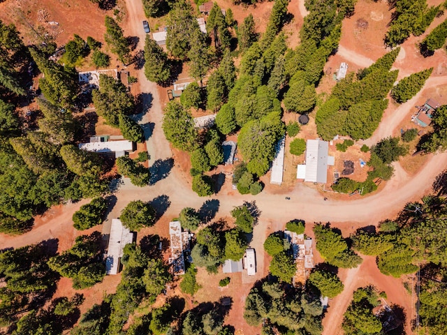 6961 Woodpecker Ln, Shingletown, CA 96088