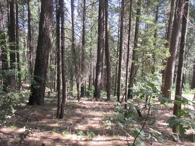 LOT21 Fremont Way, Oak Run, CA 96069