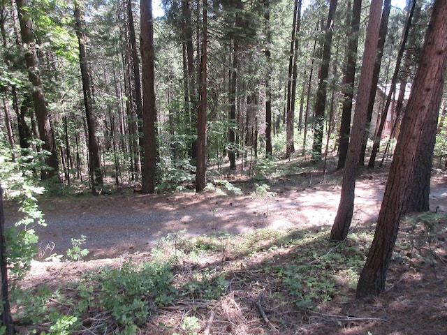 LOT21 Fremont Way, Oak Run, CA 96069