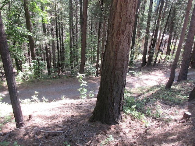 LOT21 Fremont Way, Oak Run, CA 96069