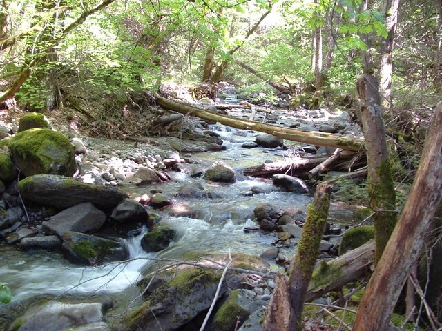 LOT21 Fremont Way, Oak Run, CA 96069