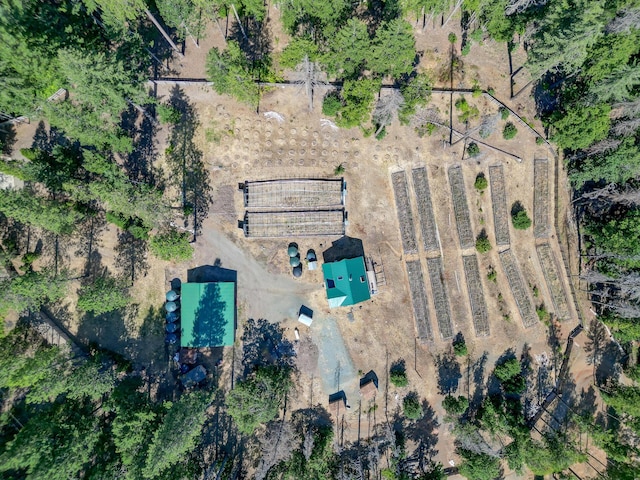 311 Ward Placer Pl, Weaverville, CA 96093 - aerial overview of property's location