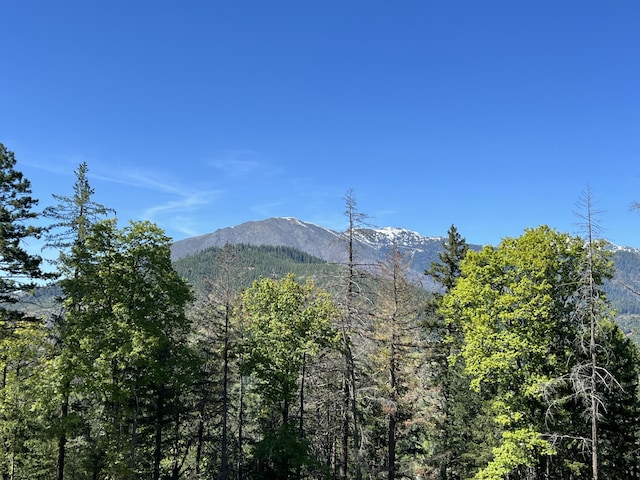 311 Ward Placer Pl, Weaverville, CA 96093 - mountain view with a forest