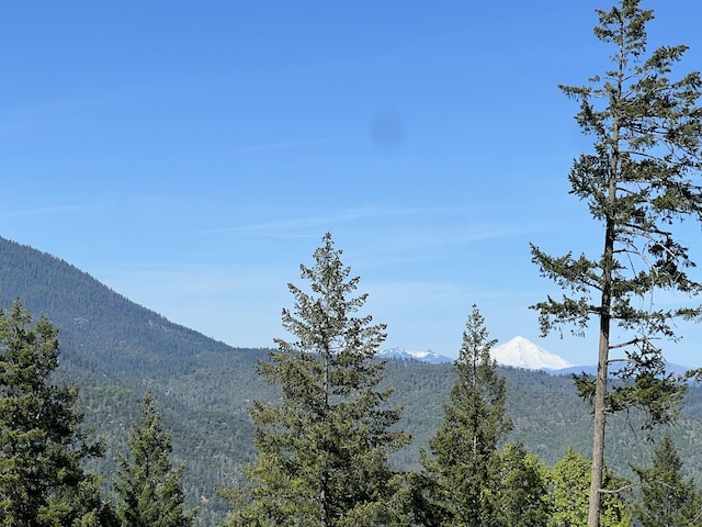 311 Ward Placer Pl, Weaverville, CA 96093 - view of mountain background with a forest