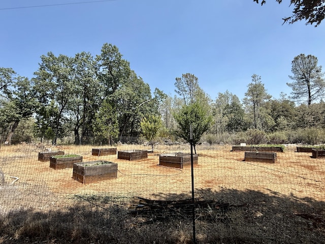 11941 Atkins Rd, Whitmore, CA 96096 - view of yard with a vegetable garden