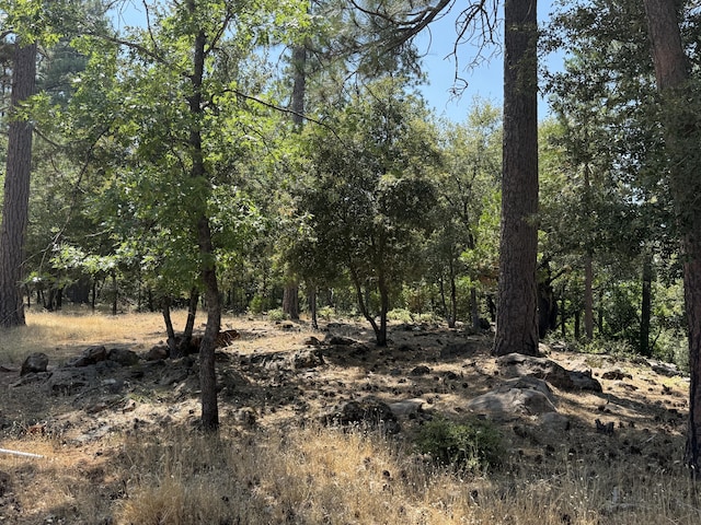 11941 Atkins Rd, Whitmore, CA 96096 - view of nature