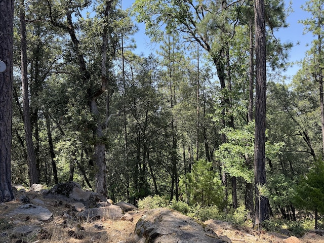 11941 Atkins Rd, Whitmore, CA 96096 - view of wooded area