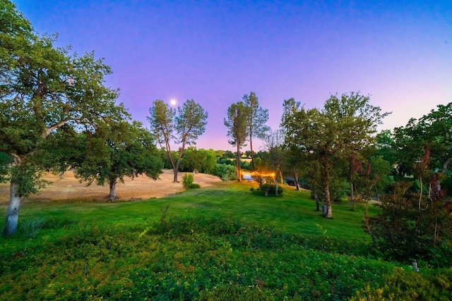 23795 Deer Canyon Rd, Millville, CA 96062 - yard at dusk with a yard