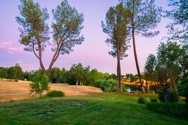 23795 Deer Canyon Rd, Millville, CA 96062 - yard at dusk with a lawn and view of wooded area