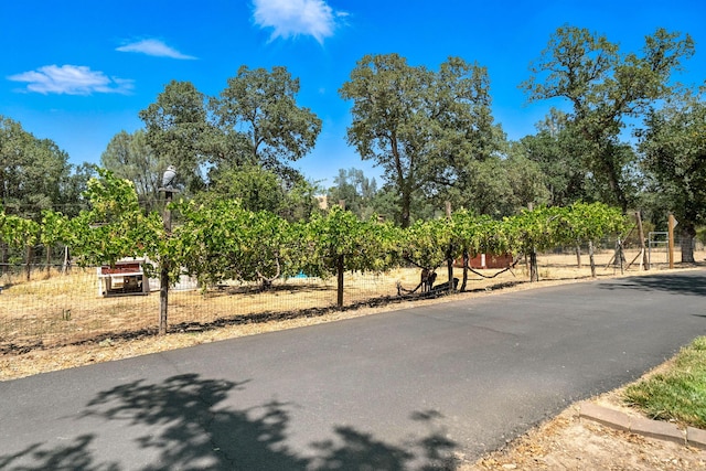 23795 Deer Canyon Rd, Millville, CA 96062 - view of road