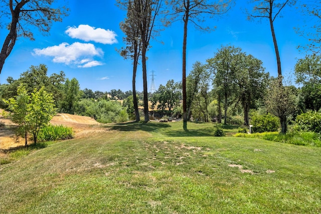 23795 Deer Canyon Rd, Millville, CA 96062 - view of grassy yard