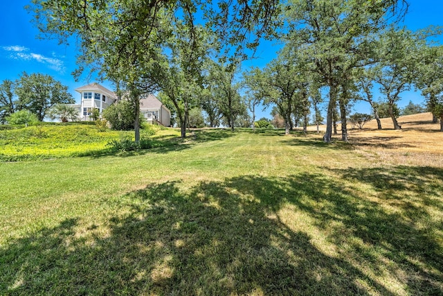23795 Deer Canyon Rd, Millville, CA 96062 - view of green lawn