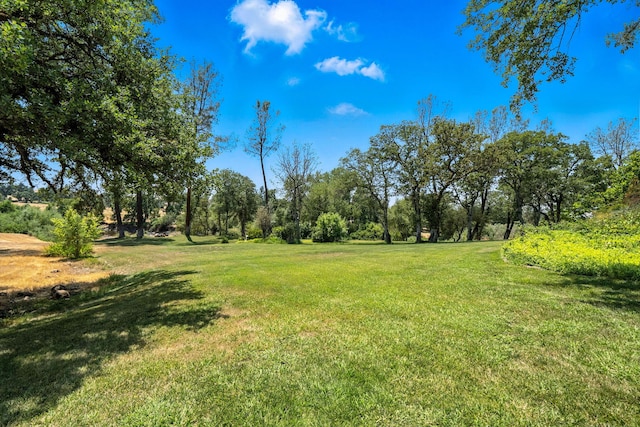 23795 Deer Canyon Rd, Millville, CA 96062 - view of green lawn
