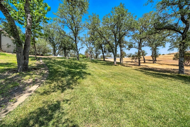 23795 Deer Canyon Rd, Millville, CA 96062 - view of green lawn