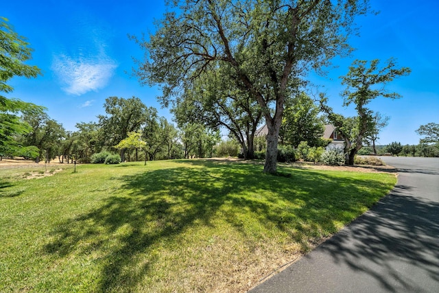 23795 Deer Canyon Rd, Millville, CA 96062 - view of green lawn