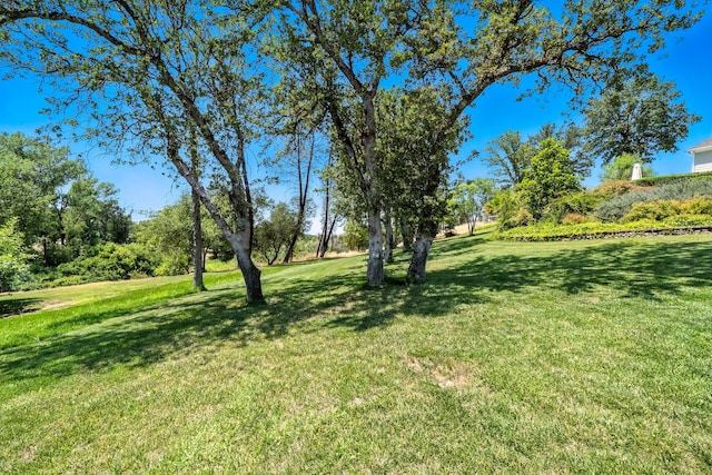 23795 Deer Canyon Rd, Millville, CA 96062 - view of green lawn