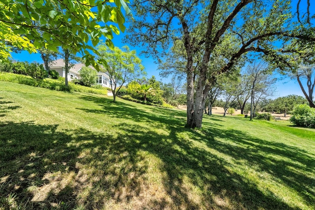 23795 Deer Canyon Rd, Millville, CA 96062 - view of grassy yard