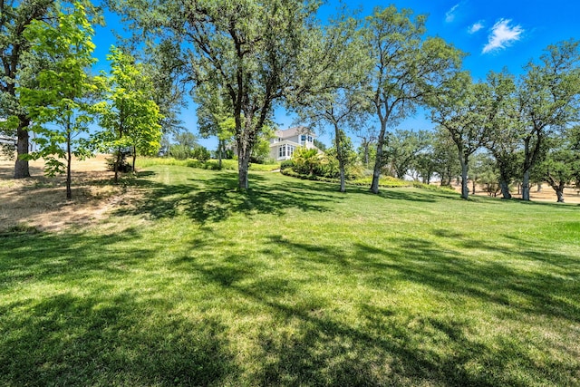 23795 Deer Canyon Rd, Millville, CA 96062 - view of grassy yard