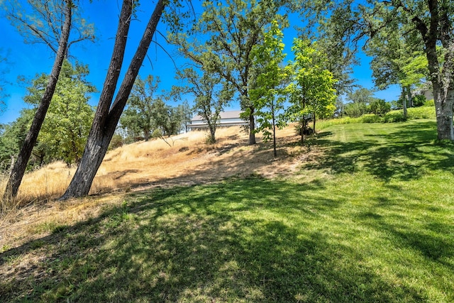 23795 Deer Canyon Rd, Millville, CA 96062 - view of green lawn