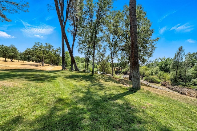 23795 Deer Canyon Rd, Millville, CA 96062 - view of grassy yard
