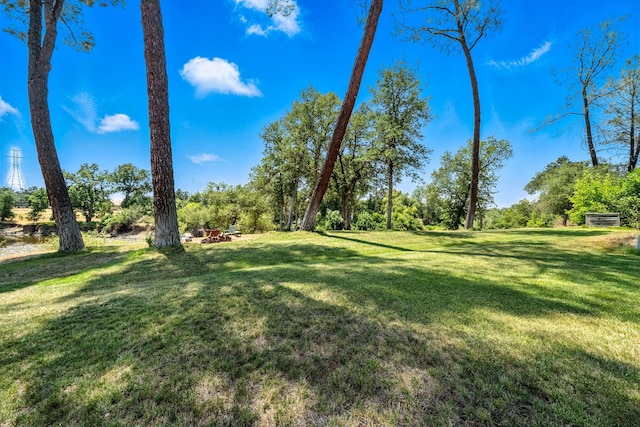 23795 Deer Canyon Rd, Millville, CA 96062 - view of green lawn