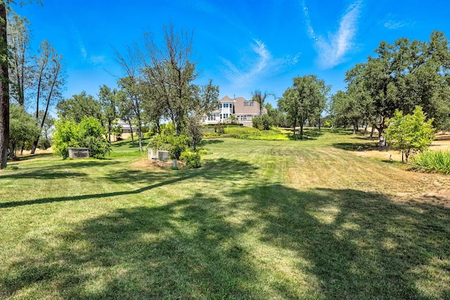 23795 Deer Canyon Rd, Millville, CA 96062 - view of green lawn