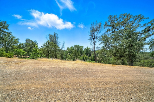 23795 Deer Canyon Rd, Millville, CA 96062 - view of nature