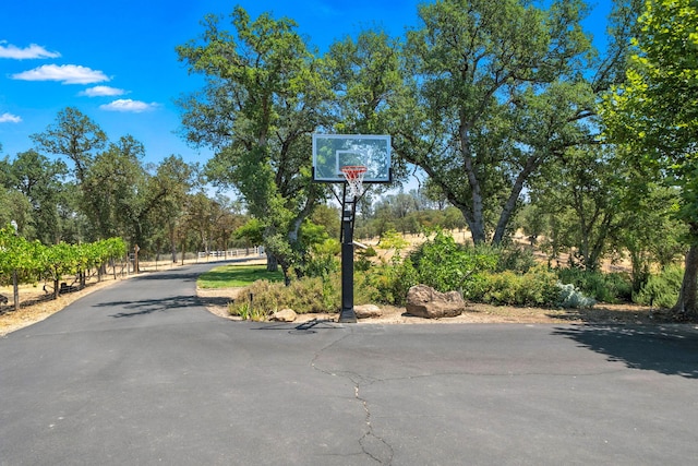 23795 Deer Canyon Rd, Millville, CA 96062 - view of road