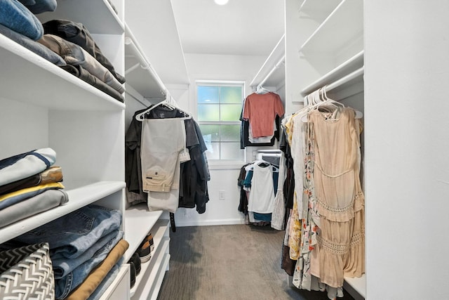 23795 Deer Canyon Rd, Millville, CA 96062 - spacious closet with carpet flooring