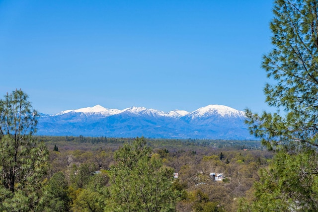 23795 Deer Canyon Rd, Millville, CA 96062
