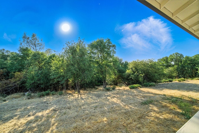 18435 Danielle Way, Cottonwood, CA 96022 - view of yard featuring a forest view