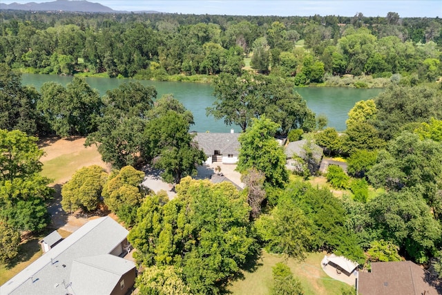 2949 Felstet Ln, Redding, CA 96001 - bird's eye view of a nearby body of water and a forest