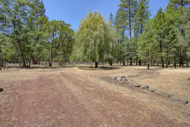 27401 Goodman Rd, Fall River Mills, CA 96028 - view of yard