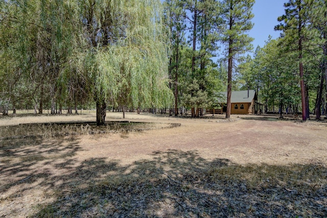 27401 Goodman Rd, Fall River Mills, CA 96028 - view of yard