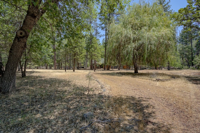 27401 Goodman Rd, Fall River Mills, CA 96028 - view of dirt / gravel road