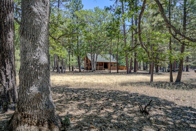 27401 Goodman Rd, Fall River Mills, CA 96028 - view of yard