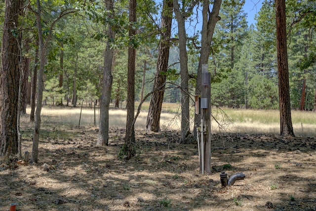 27401 Goodman Rd, Fall River Mills, CA 96028 - view of wooded area
