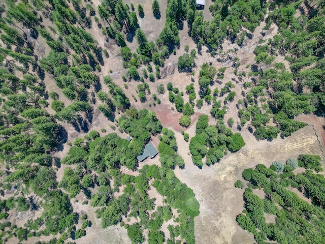 27401 Goodman Rd, Fall River Mills, CA 96028 - aerial view of property and surrounding area with a desert landscape