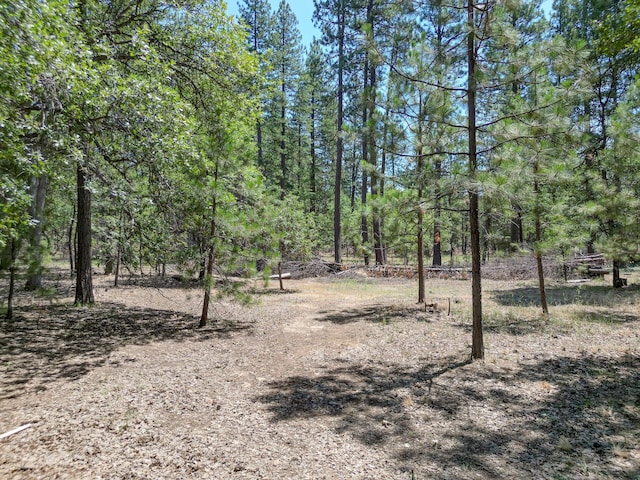 27401 Goodman Rd, Fall River Mills, CA 96028 - view of wooded area