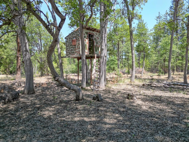 27401 Goodman Rd, Fall River Mills, CA 96028 - view of undeveloped land
