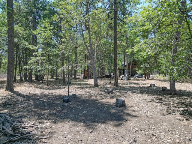27401 Goodman Rd, Fall River Mills, CA 96028 - view of yard