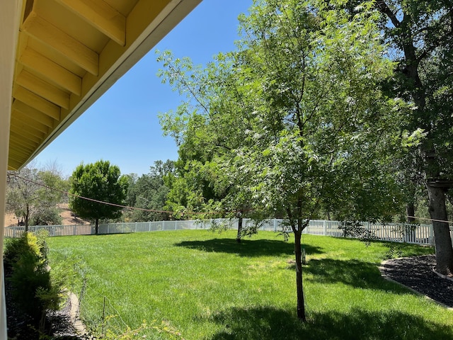13100 Padani Dr, Redding, CA 96003 - photo 5