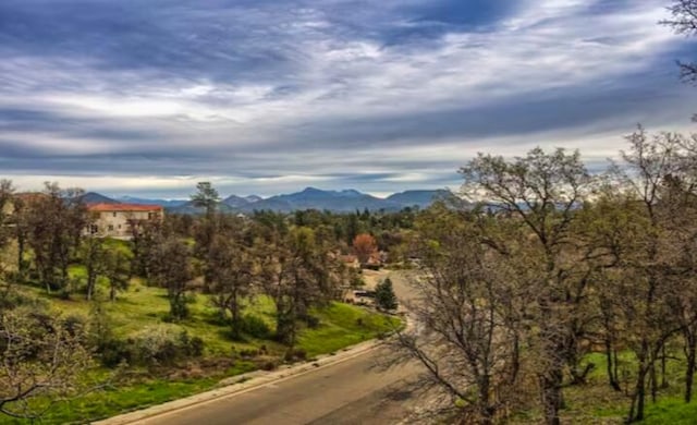 1050 Hillsdale Ct, Redding, CA 96003 - photo 42