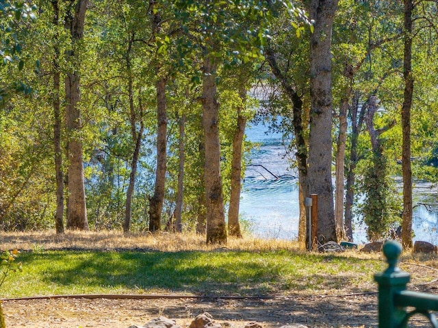 15745 Montgomery Ranch Rd, Redding, CA 96001 - photo 11