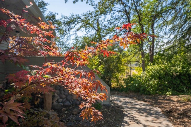 15745 Montgomery Ranch Rd, Redding, CA 96001 - photo 10