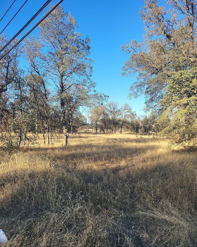 3035 Argyle Rd, Redding, CA 96002 - photo 9