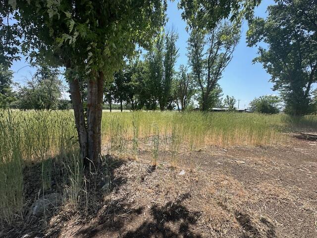 27196 Pittville Totten Rd, Mcarthur, CA 96056 - photo 15