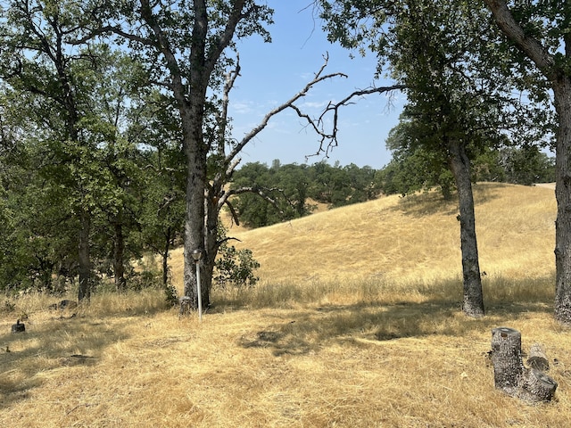 63 Little Oak Ln, Cottonwood, CA 96022 - photo 8